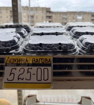 Ягідний сезон: скільки коштує чорниця та лохина на волинському ринку