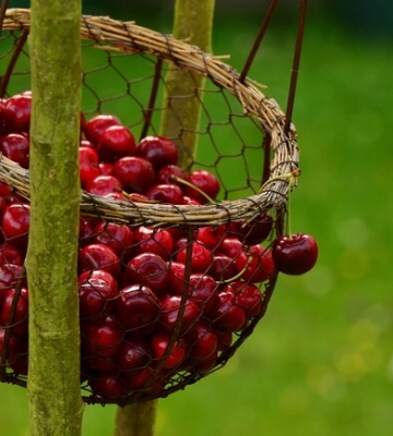 Де на цих вихідних у Києві пройдуть продуктові ярмарки. Адреси