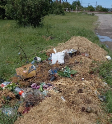 Виявлено несанкціоноване сміттєзвалище на території Королівської селищної ради