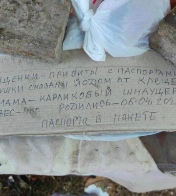 В Ізмаїлі невідомі викинули цуценят з усіма документами у фонтан