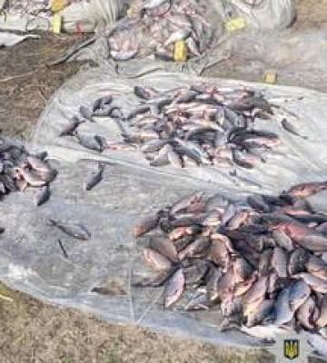 На Полтавщині браконьєра судитимуть за вилов риби на пів мільйона гривень