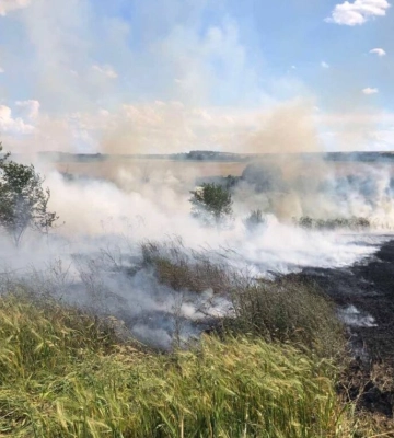 На Болградщині згоріло поле з пшеницею: рятувальники нагадують правила пожежної безпеки під час збиральної кампанії