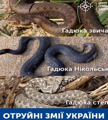 Увага! Сезон активності змій розпочався!
