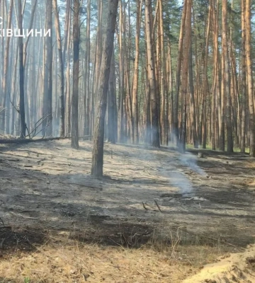Военные показали видео уничтожения 250 оккупантов в Харьковской области