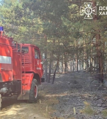 Російський обстріл спричинив лісову пожежу на Харківщині