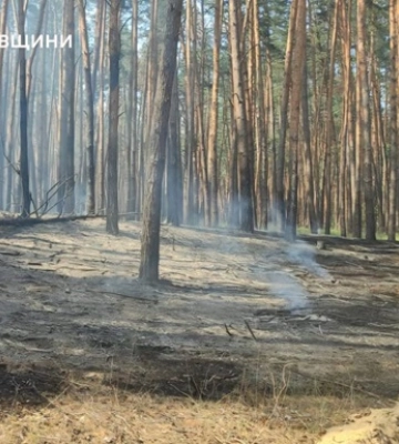 В Харьковской области вражеские обстрелы вызвали лесной пожар