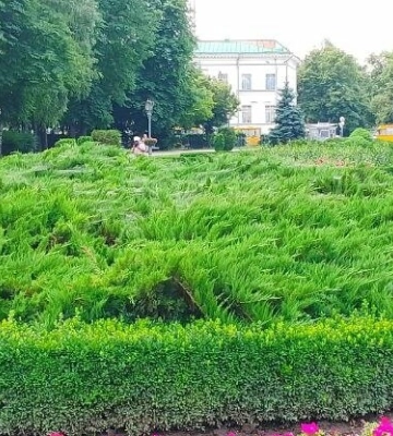 На Полтавщині оголосили штормове попередження