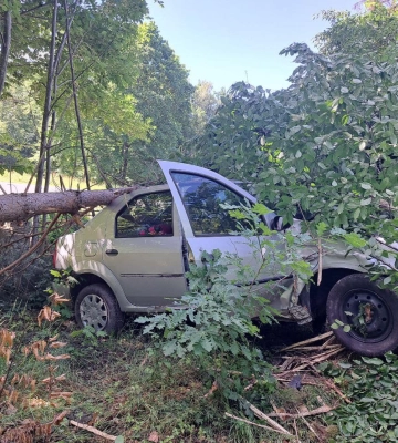 У Рівненському районі з дороги &quot;злетів&quot; легковик (ФОТО)