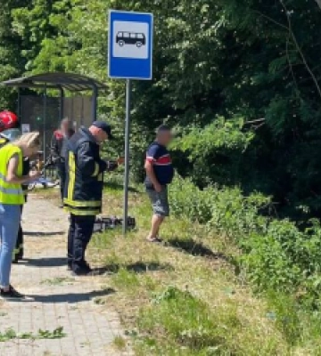 Уночі сильний вітер повалив дерева на трасі Луцьк-Львів (відео)