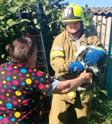 На Полтавщині надзвичайники врятували пташеня лелеки
