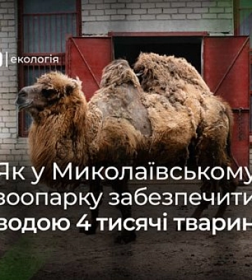 Как в Николаевском зоопарке решили вопрос отсутствия водоснабжения