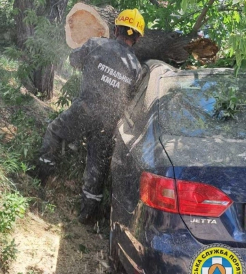 У Києві дерево впало на дорогу та потрощило автомобіль (ФОТО)