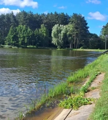 Поліція встановила особу чоловіка, який втопився у ставку поблизу Луцька