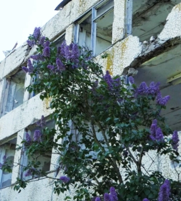 Вартість реконструкції школи в Архангельському на Херсонщині - завищили