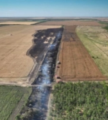 У Миколаївській області через пожежу вигоріла частина поля та лісосмуги