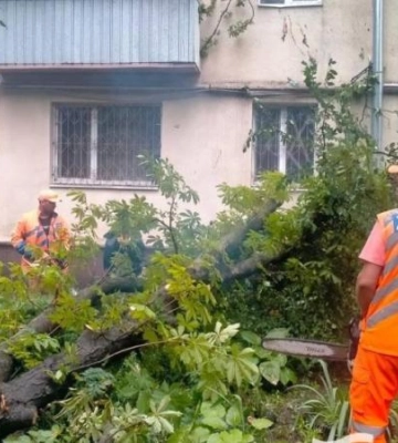 Негода у Дніпрі: як комунальники впорались із наслідками урагану