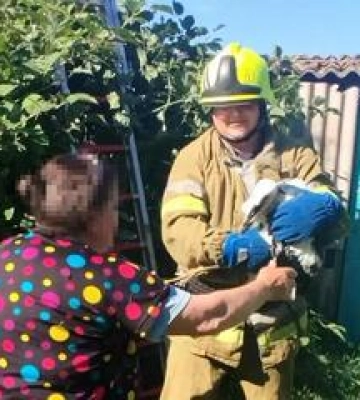 Полтавські надзвичайники врятували пташеня лелеки