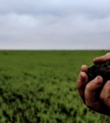 Гімназія на Миколаївщині незаконно віддала в оренду землі агрофірмі