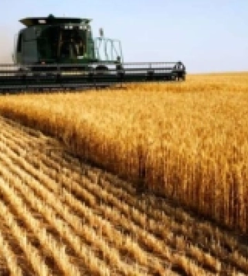 Аграрії Півдня розпочали збір ранніх зернових та зернобобових культур