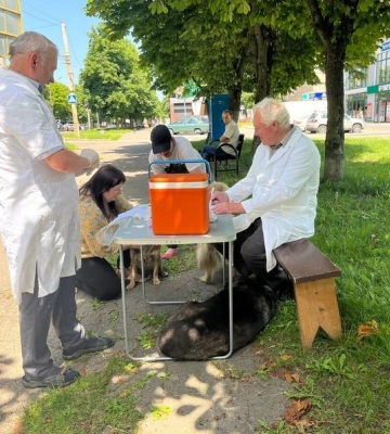 У Луцьку почали безплатно щеплювати котів та собак: як і де це організували