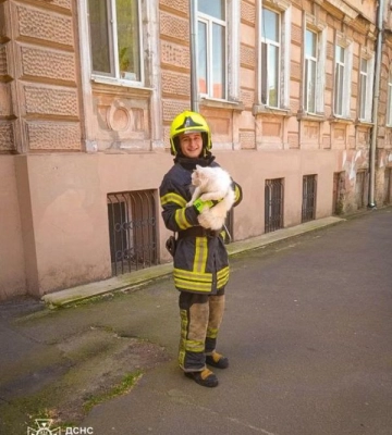 В Одесі вогнеборці врятували кота