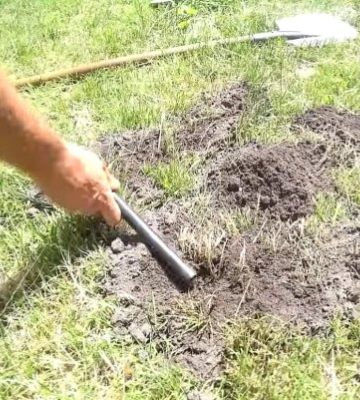 Що потрібно зробити, щоб кроти пішли з городу та дачної ділянки: ви хвалитися цим методом