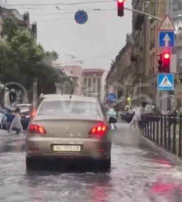 Буревій у Львові валить дерева - ФОТО