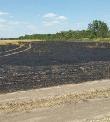 На Херсонщині через російські обстріли горіли поля із збіжжям
