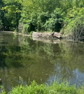 На Київщині у ставку потонув дворічний хлопчик