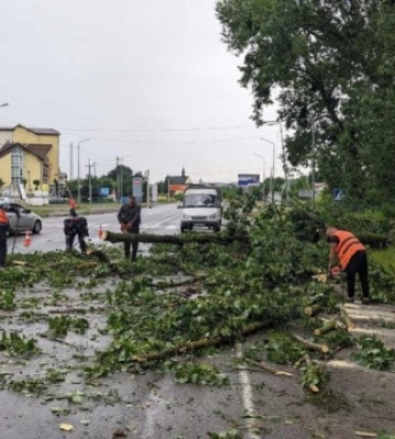 У Львові негода наробила біди