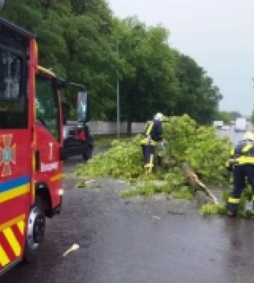 На Волині негода повалила дерева, а у Луцьку спричинила пожежу