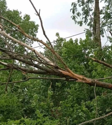 Негода знеструмила будівлі у трьох районах Рівненщини