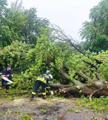 Наслідки негоди: буревій повали дерева на волинські дороги 