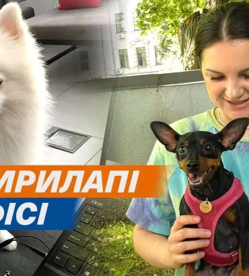 Чотирилапі в офісі: чи долучились мешканці Дніпра до міжнародної акції