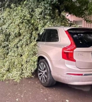 У Рівному сильний вітер повалив на автівки дерева (ФОТО)