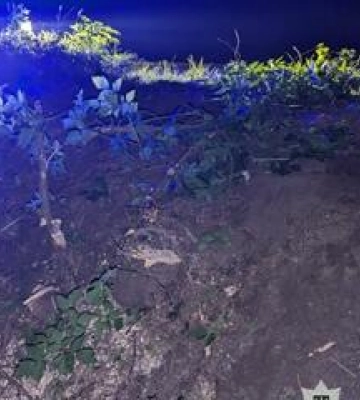 Внаслідок аварії у Полтаві постраждала жінка