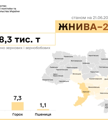 Жнива 2024: 6 областей збирають врожай