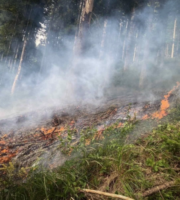 На Міжгірщині ліквідували лісову пожежу
