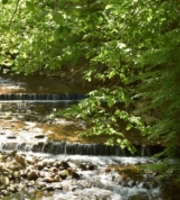 Як штучні водоспади рятують річку Теребля на Закарпатті від повеней