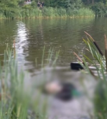 В озері у Новому Роздолі потонула жінка
