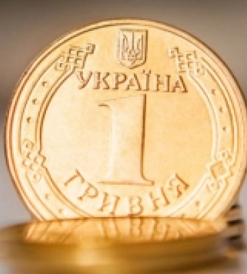 Закарпатська область одна з лідерів за зростанням надходжень єдиного податку