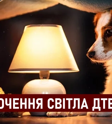 ДТЕК графіки відключення світла в Дніпрі 26 червня: актуальна інформація