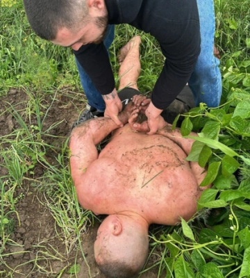 Катування ексвійськового у Дніпрі: поліція встановила особи зловмисників
