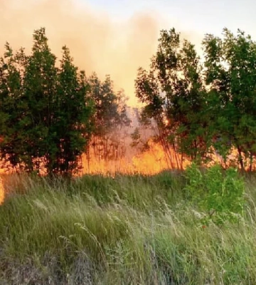 На Херсонщині надзвичайники ліквідували наслідки пожеж на площі понад 4 гектари 