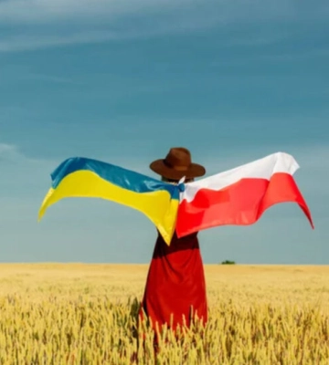 Від працевлаштування до освіти: які права мають українці в Польщі