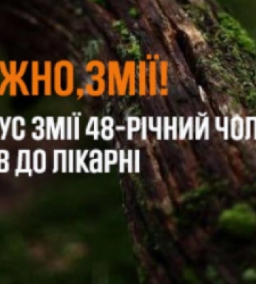 На Львівщині змія вкусила в ногу киянина