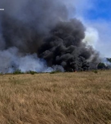 Більш ніж 150 га зернових на корені врятували вогнеборці від знищення вогнем