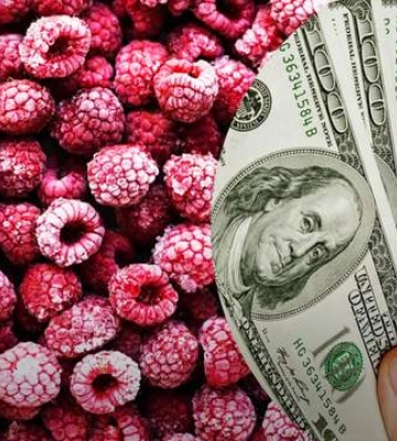 Українські виробники промислової малини очікують на підвищення цін через проблеми у Європі