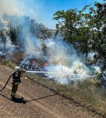30 га зернових протягом доби знищено на Миколаївщині внаслідок пожеж, - ДСНС. ВІДЕО+ФОТОрепортаж