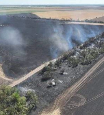Більш ніж 150 га зернових на корені врятували вогнеборці від знищення вогнем